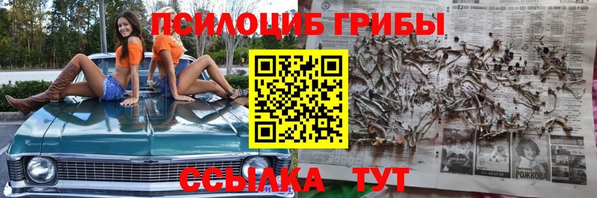 Псилоцибиновые грибы Psilocybine cubensis  Галлюциногенные грибы Cubensis  магазин продажи   Вход с VPN  Нефтеюганск 